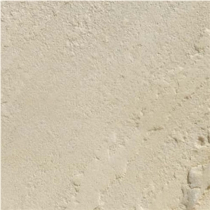 Mint White Sandstone Slabs & Tiles, India White Sandstone