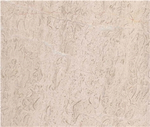 White Begonia Marble Floor Tiles Design, China White Marble