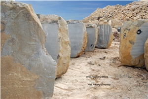 Grey Foussana Limestone Blocks from Tunisia Good Prices