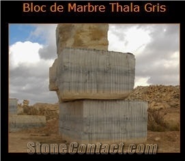 Thala Grey Limestone Blocks from Tunisia Good Prices
