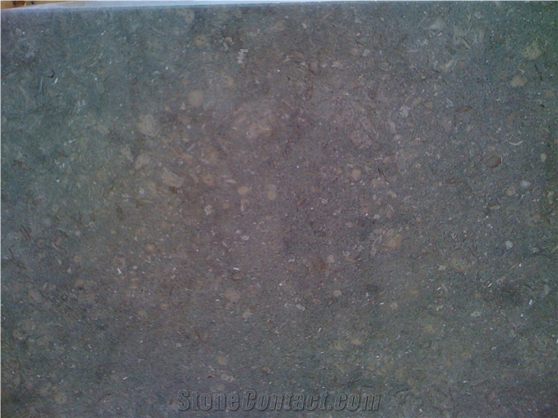 Fossil Green Limestone , Sea Shellstone Slabs & Tiles, Fossil Green Marble Slabs & Tiles