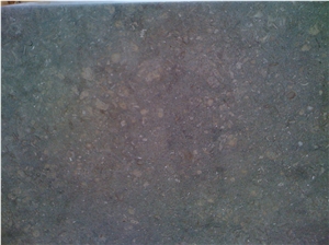 Fossil Green Limestone , Sea Shellstone Slabs & Tiles, Fossil Green Marble Slabs & Tiles