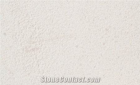Light Beige Antalya Limestone Shellstone Slabs , Tiles