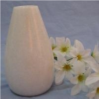 Beautiful Vase for Home Decor