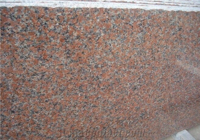Hot Sales Best Quality Maple Red G562 Granite Tiles & Slabs