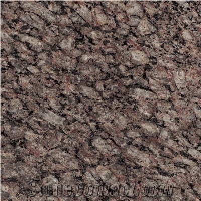 Zeta Brown Granite Tiles & Slabs,Brazil Brown Granite Walling,High Quality Brown Granite Flooring with Own Factory