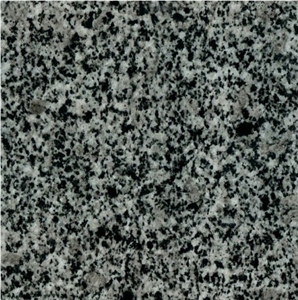 Grey Ukraine Granite