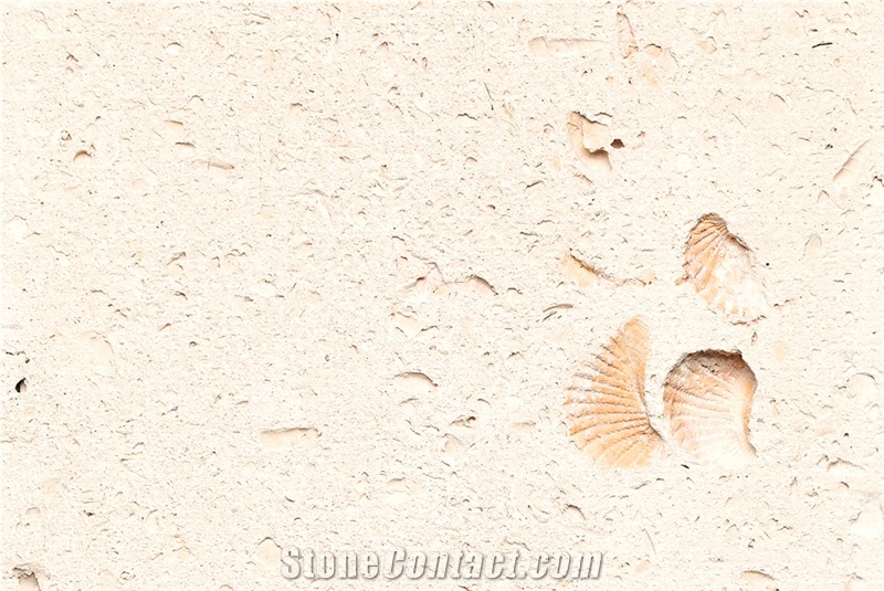 Cordova Shell Limestone Slabs&Tiles