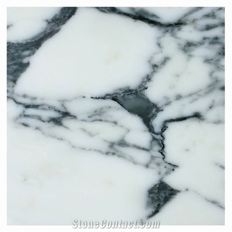 Arabescato Marble Tiles & Slabs, Italy White Marble