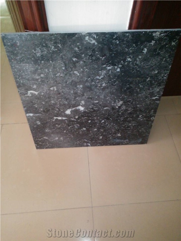 Conch Grey Granite Polished Slabs, Dark Grey Granite with Veins Machine Cutting Panel Tile for Wall Cladding,Lobby Floor Covering