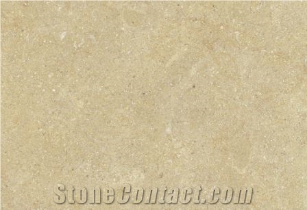 Rh 32 Jerusalem Dark Gold Limestone Tiles & Slabs, Beige Palestine Limestone for Flooring and Walling Tiles