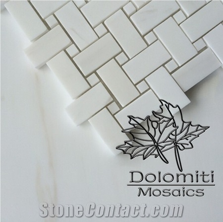Herringbone Marble Mosaic Tiles in Bianco Dolomiti 1 X 2", Polished