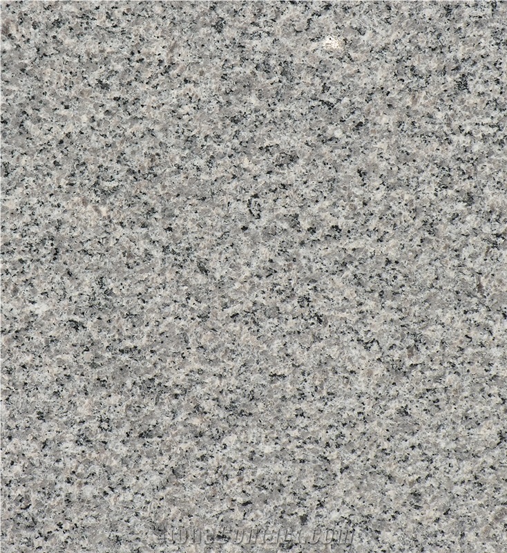 Classic Grey Small Flower Granite Tiles & Slab