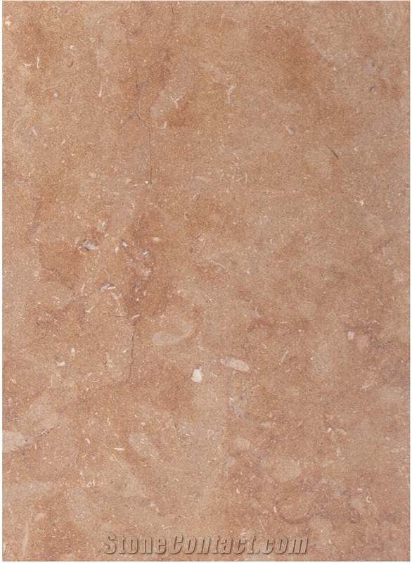 Kc1050 Slabs & Tiles, Palestine Yellow Limestone
