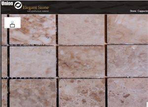 Cappucino Marble Polished Mosaic