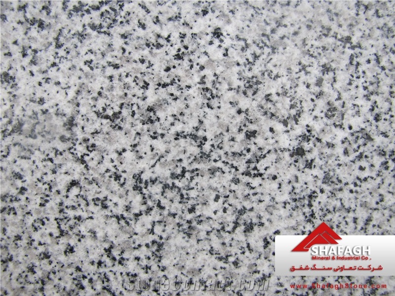 White Natanz Granite Tiles, Iran White Granite