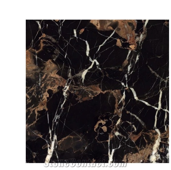 Black & Gold Marble Slabs and Tiles