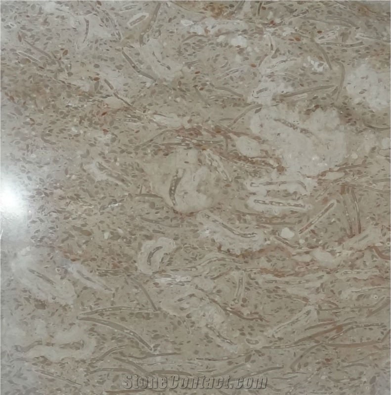 Fossil Beige Marble Tile & Stairs, Pakistan Beige Marble