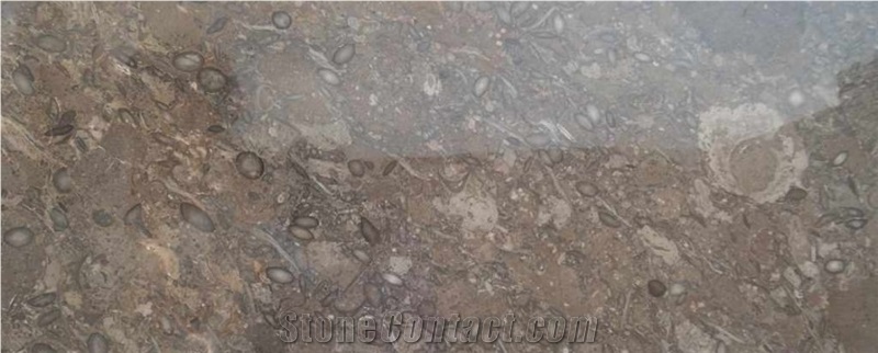 Oceanic Marble Tile & Stair Case, Pakistan Beige/Grey Marble