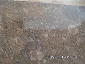Oceanic Marble Tile & Stair Case, Pakistan Beige/Grey Marble