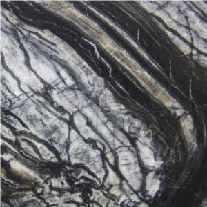 Black Forest Marble Tiles, China Black Marble