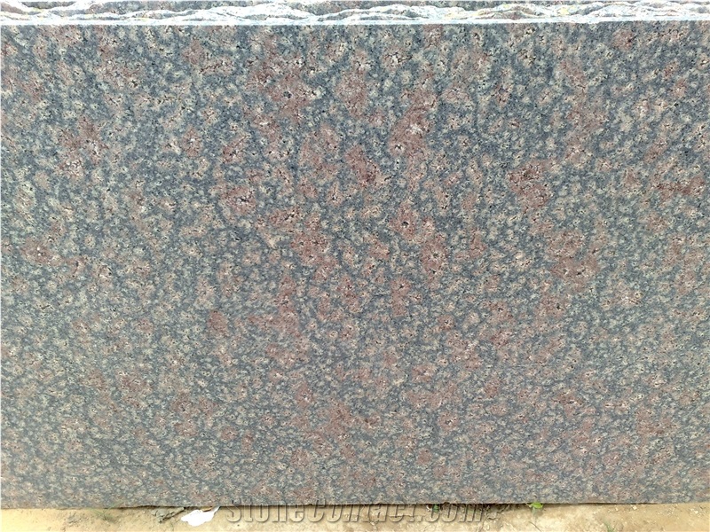 Bala Flower Granite Tiles & Slabs, India Red Granite Flooring Tiles, Walling Tiles