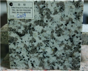 Grey Granite,Royal White Granite,G439 Granite Slabs & Tiles