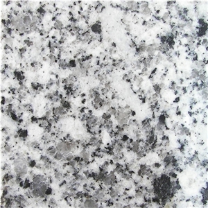 Grey White Granite Slab, India White Granite