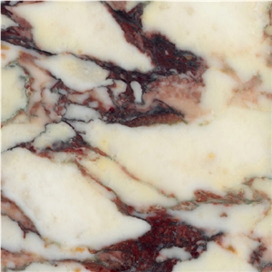 Calacatta Viola Marble