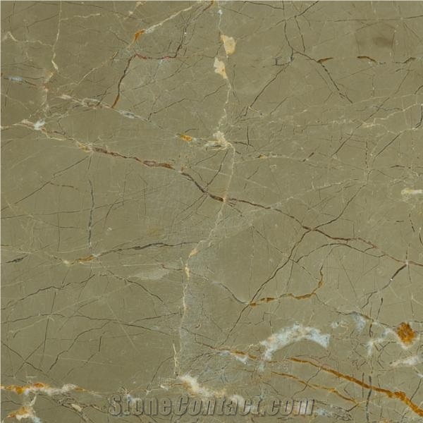 Olive Maron Marble from China - StoneContact.com