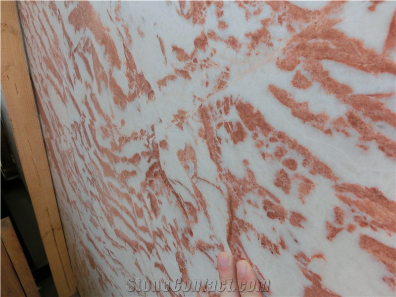 Germany Rose Marble Tiles and Slabs