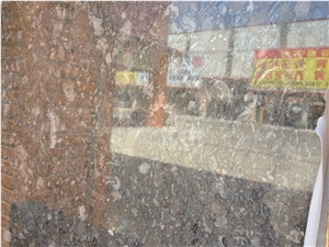 Gusteau Marble Tiles and Slabs