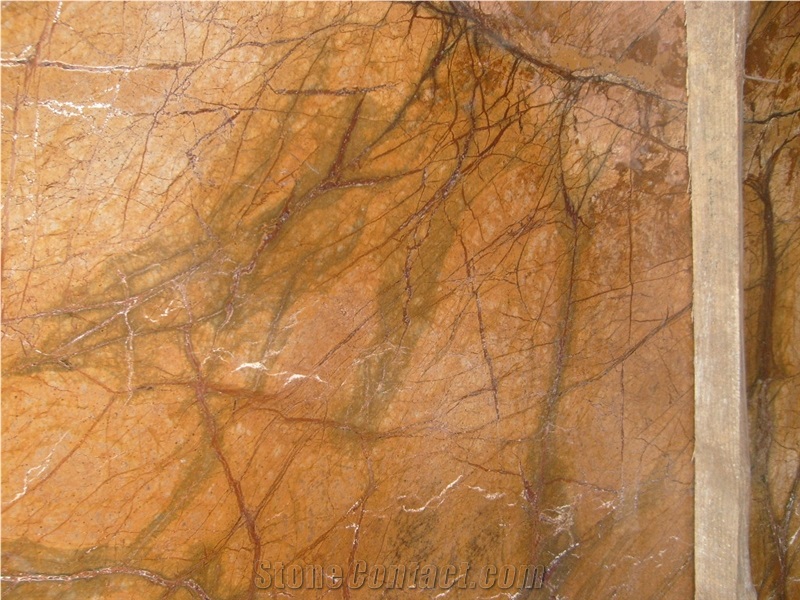 Rain Forest Brown Marble Tiles and Slabs