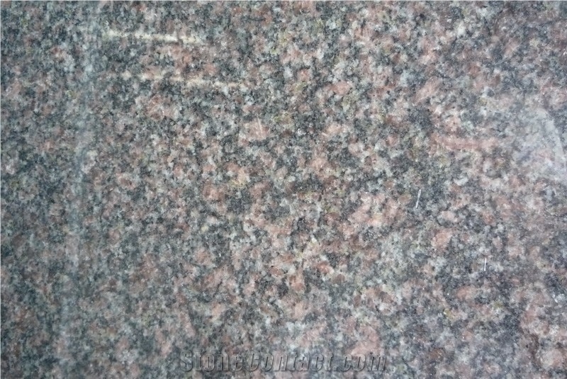 Sweden Mahogany Granite Tiles and Slabs