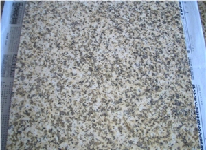 Vietnam Yellow Granite Tiles and Slabs