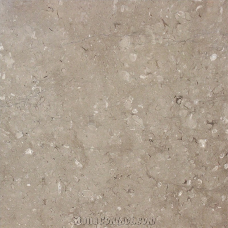 Lipica Fiorito Limestone Slabs, Tiles