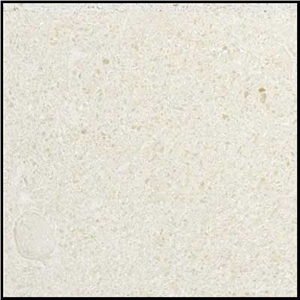 Wmi007 Limestone White Slabs & Tiles