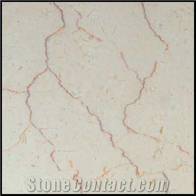 Wmi010 Shell Beige Marble Slabs & Tiles