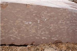 Fossil Pink Limestone Blocks, Fosilius Limestone Blocks