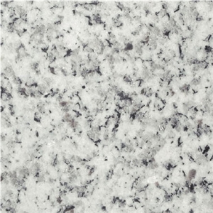 Bianco Argento Granite Slabs & Tiles, Russian Federation White Granite