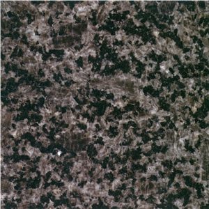 Black Ice Dapple Granite Slabs & Tiles, China Grey Granite