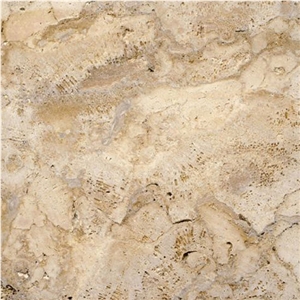 Coralina Gold Limestone