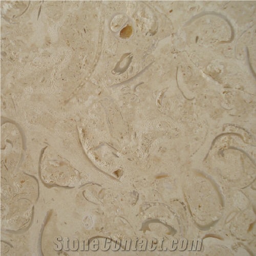 Coralina Shellstone Limestone Slabs & Tiles