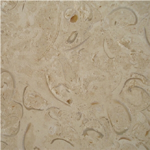 Coralina Shellstone Limestone Slabs & Tiles