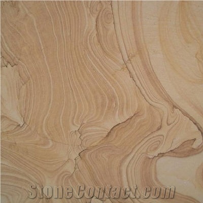 Cortices Vein Sandstone Slabs & Tiles, China Brown Sandstone