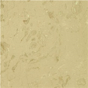Crema Moca Limestone