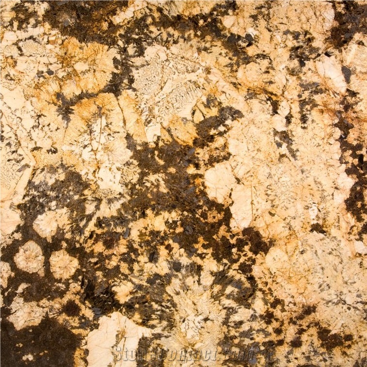 Delicatus Brown Granite Slabs & Tiles, Brazil Brown Granite