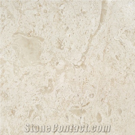 Dino Marble Granite Slabs & Tiles