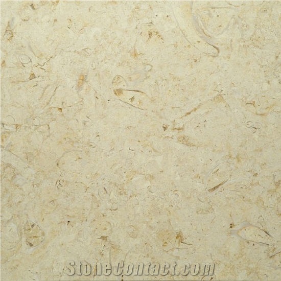 Fossil Oro Limestone Slabs & Tiles, Egypt Yellow Limestone
