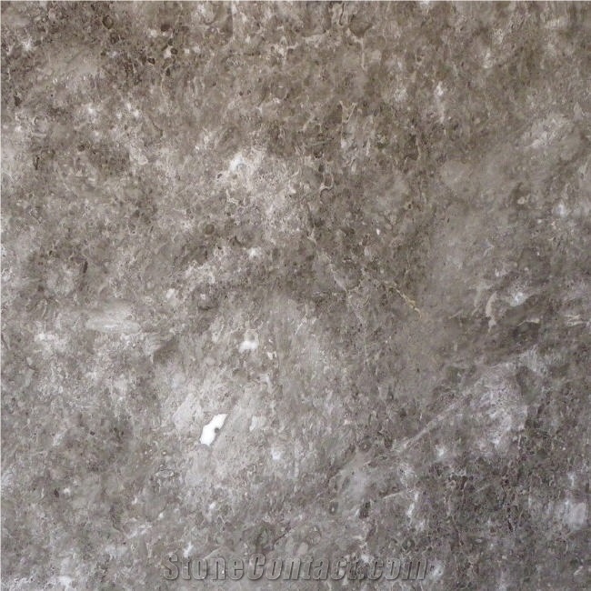 Grigio Billiemi Marble from China - StoneContact.com